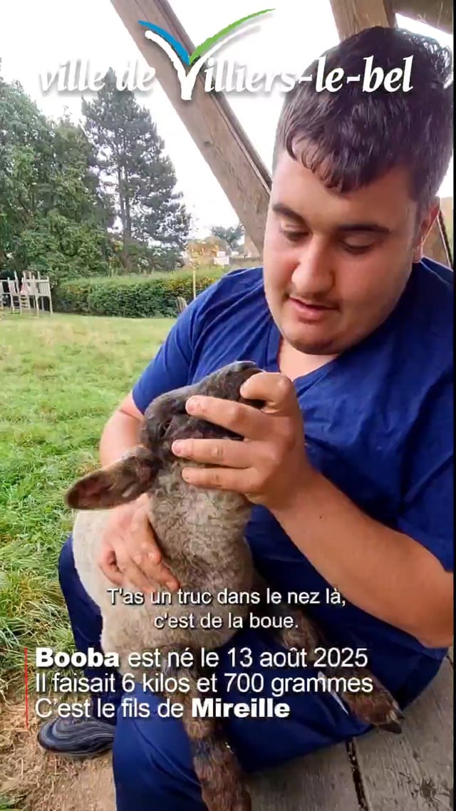 Vimeo Video : Booba, le petit agneau