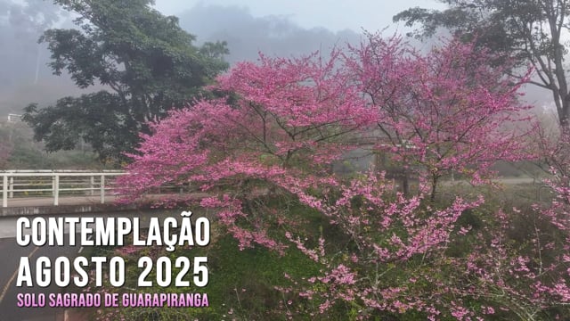 Capa do vídeo “Contemplação do mês de Agosto de 2025 | Solo Sagrado de Guarapiranga”