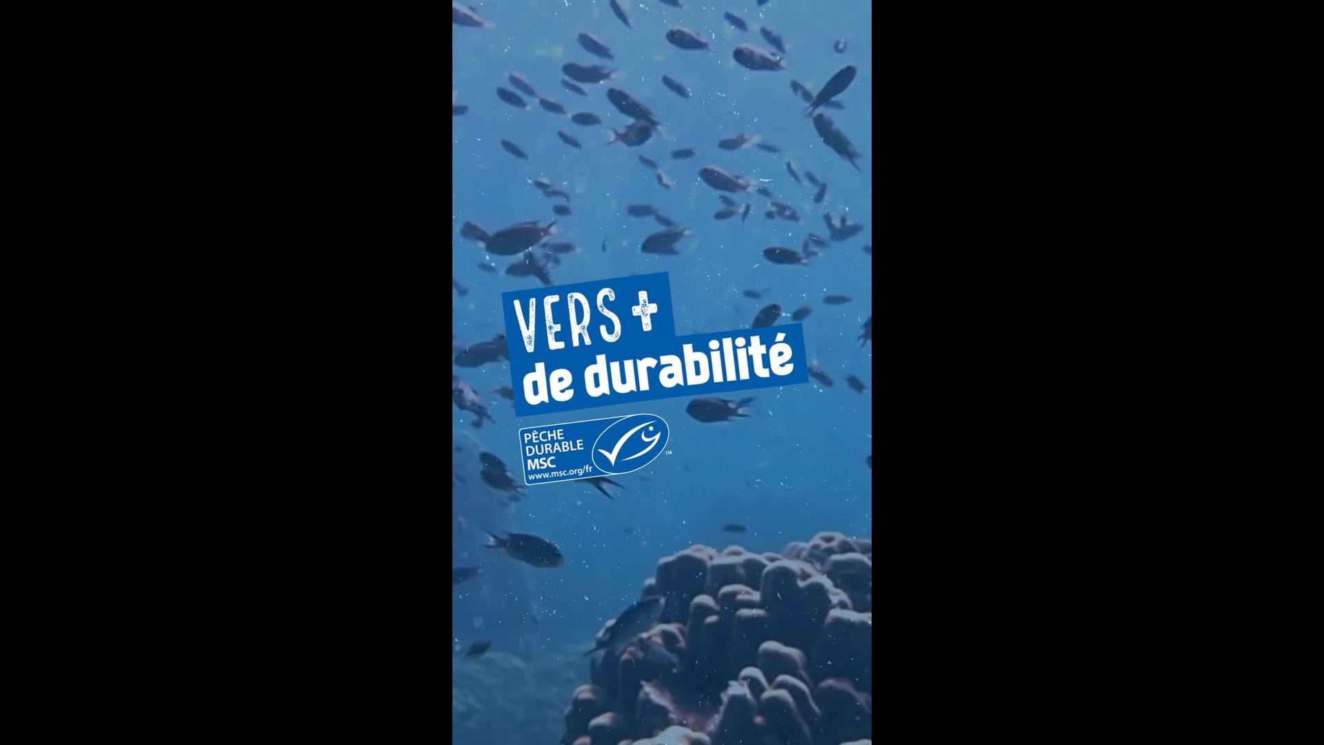 Vidéo Label MSC - Vers plus de durabilité