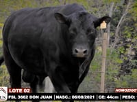 Lote 02