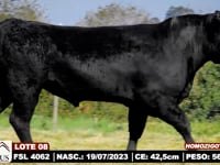 Lote 08