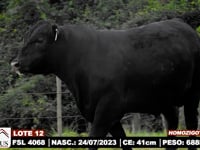 Lote 12