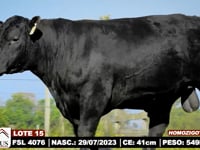 Lote 15