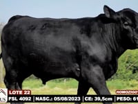 Lote 22
