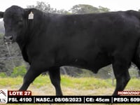 Lote 27