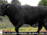 Lote 30