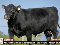Lote 32
