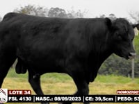 Lote 34