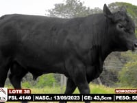 Lote 38