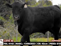 Lote 40