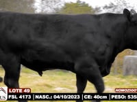 Lote 49