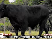 Lote 52