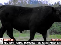 Lote 59