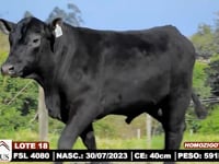 Lote 18