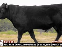 Lote 36