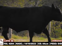 Lote 58