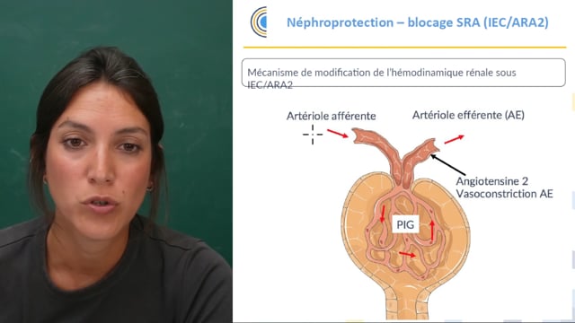 Insuffisance rénale chronique : comprendre et maîtriser les essentiels