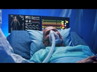 The Circulatory System &amp; Acupuncture