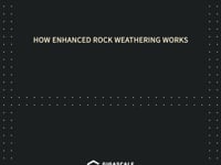 GIGA Regenerates Interviews_Round4_Terradot Cutdown01 1X1