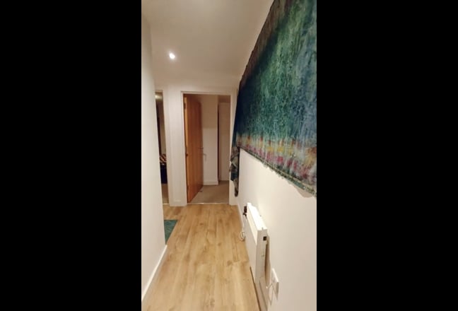 Video 1: