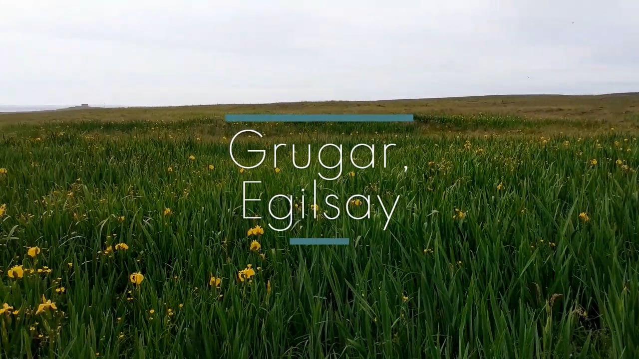 Grugar 2025