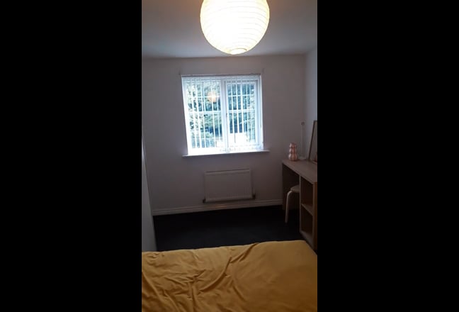Spacious double en-suite rooms, bills included Main Photo