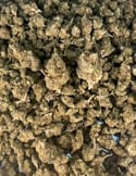 og kush imbustato