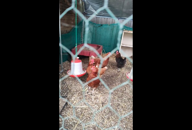 Video 1: