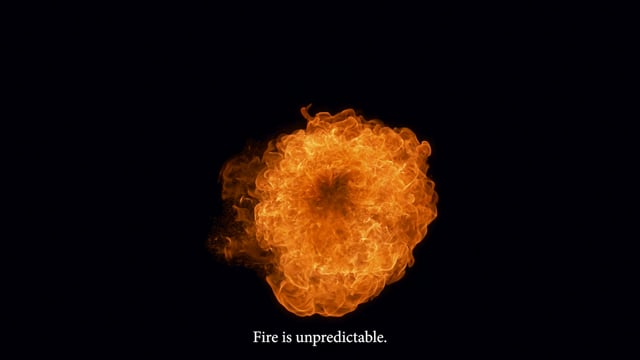 What We Lost in the Fire