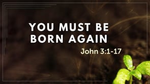9/14/2025 - You Must Be Born Again
