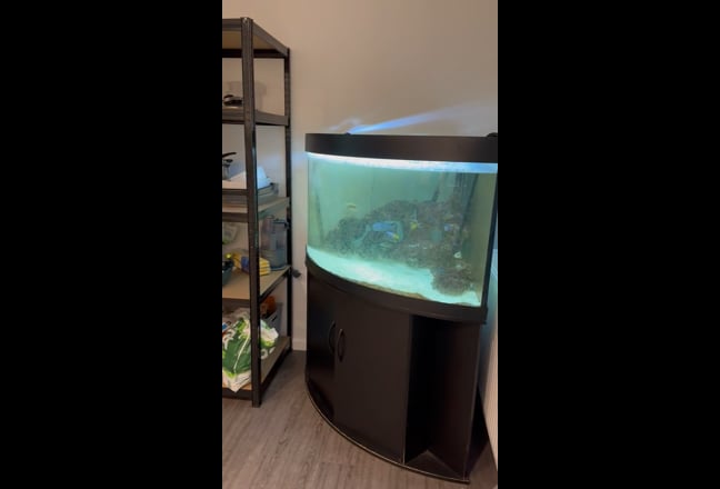 One Single Spacious room And One Double Room Main Photo