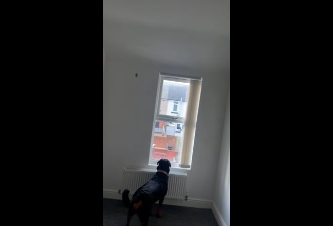 Video 1: