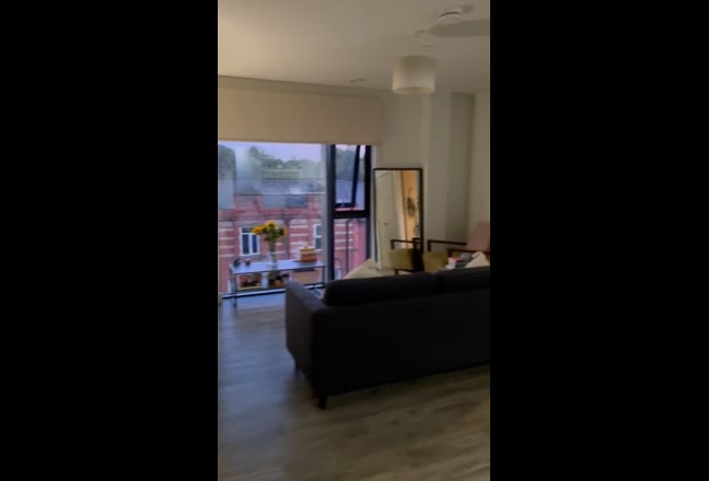 Video 1: