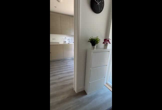 Video 1: