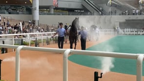 動画サムネイル