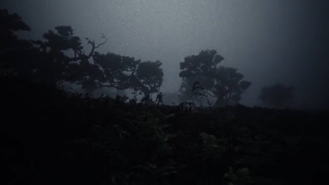 god in the dark