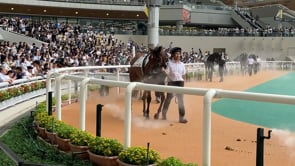 動画サムネイル