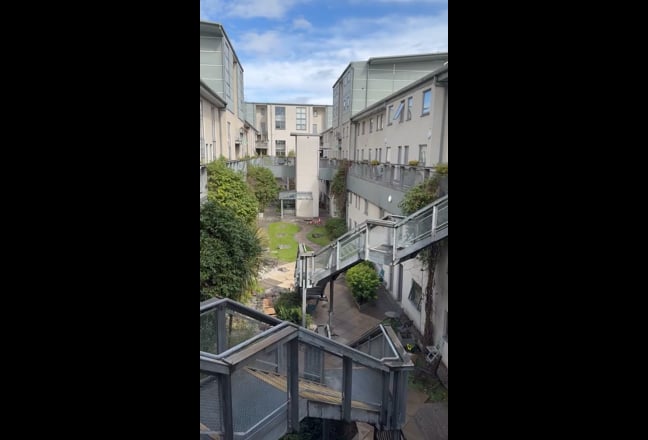 NQ Flatshare now available from 13th September Main Photo