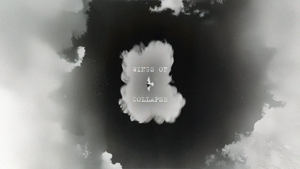 Photo from WINGS OF COLLAPSE