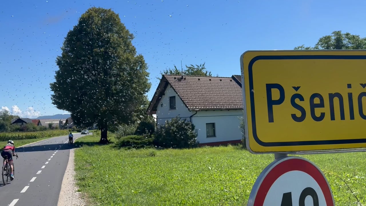 Zračna invazija v Sloveniji: zakaj, kdaj in čemu?