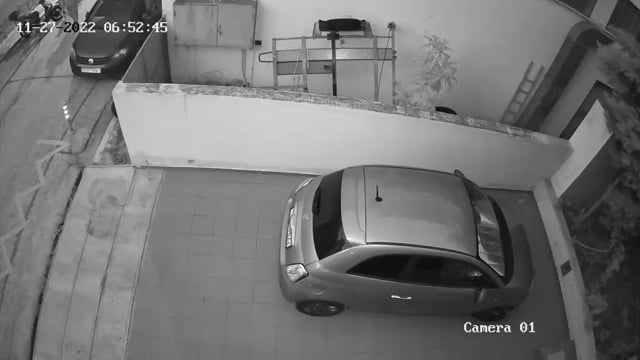 Άγιος Δημήτριος Αττικής: Σκύλος που σκοτώνει γάτες τον αφήνουν να κάνει βόλτες ελεύθερος 27-11-2022