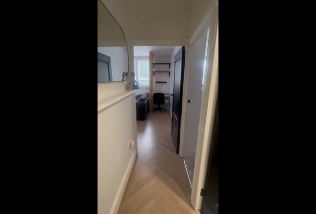 Video 1: