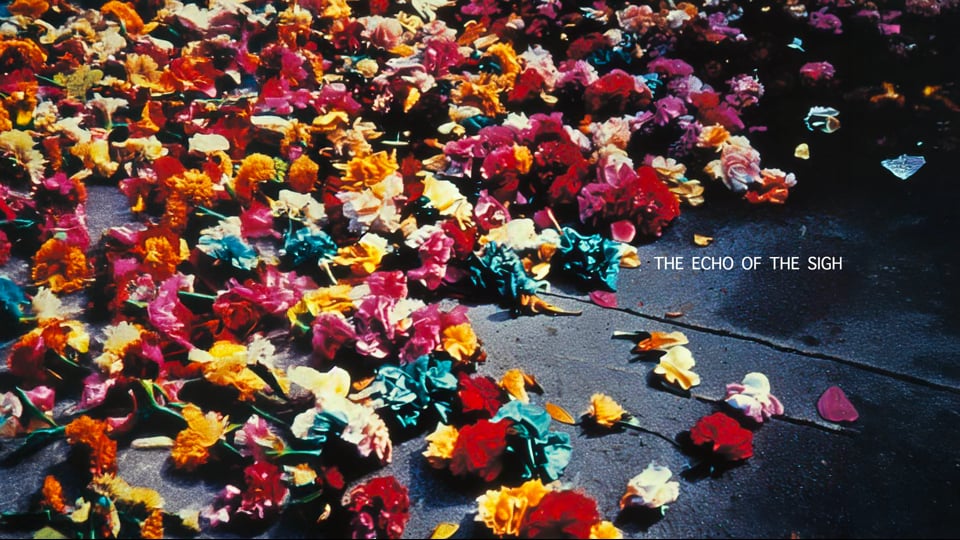 Photo from THE ECHO OF THE SIGH