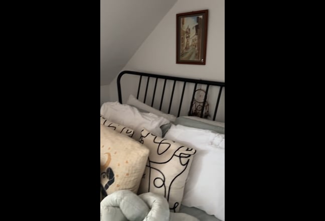 Video 1: