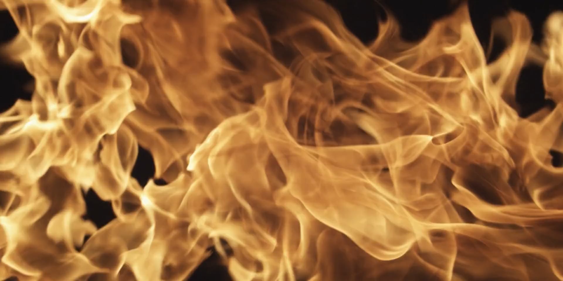 https://i.vimeocdn.com/video/2058727206-948b3a8228d3b704e2596f9ae197f8f768512fd1ea4d39735a64fd2b0a19be3d-d