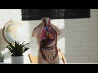 Introduction Anatomy, Physiology and Pathology Level 3 Course