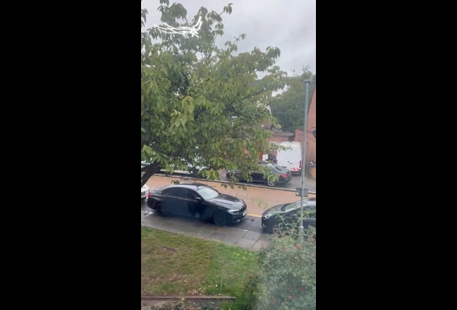 Video 1: