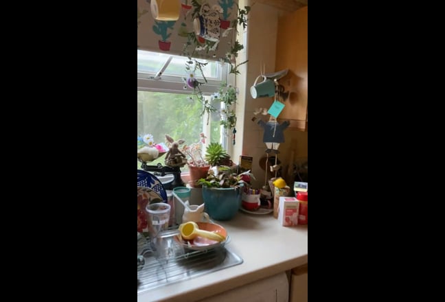 Video 1: