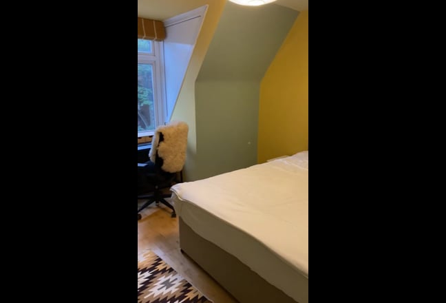 Video 1: