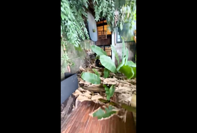 Large & Beautiful 2 Bed Garden Home in Zone 1! Main Photo